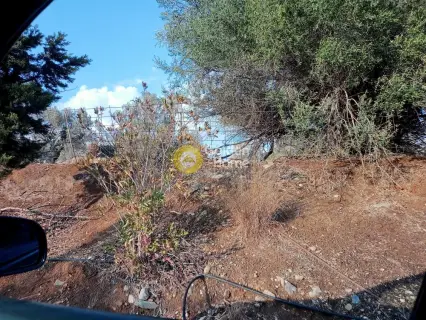 Residential 1000m<sup>2</sup> for sale photo 3