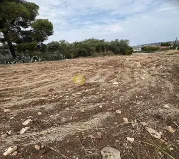 Επαγγελ. Οικόπεδο 1000τ.μ. προς πώληση φωτογραφία 1