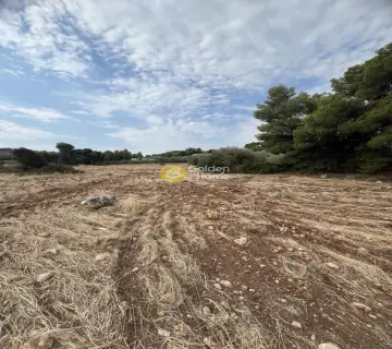 Επαγγελ. Οικόπεδο 1000τ.μ. προς πώληση φωτογραφία 4