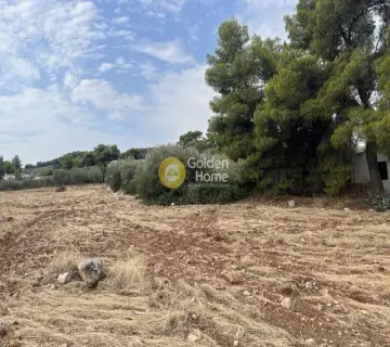 Επαγγελ. Οικόπεδο 1000τ.μ. προς πώληση φωτογραφία 2