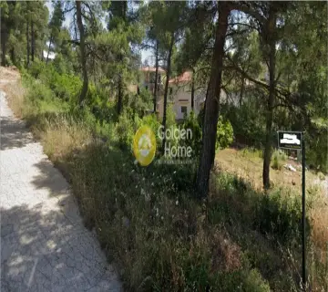 Residential 2060m<sup>2</sup> for sale photo 4389094