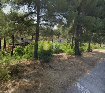 Residential 2060m<sup>2</sup> for sale photo 4389093