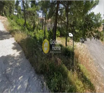 Residential 2060m<sup>2</sup> for sale photo 4389095