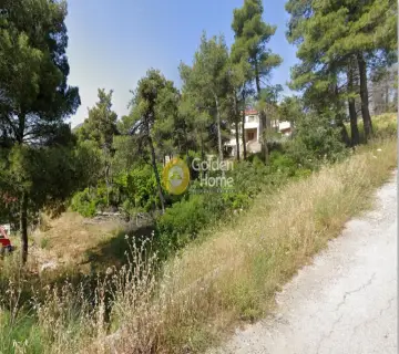 Residential 2060m<sup>2</sup> for sale photo 4389096