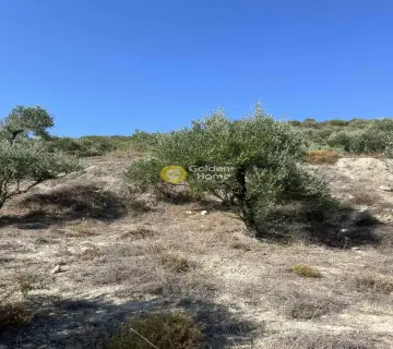 Επαγγελ. Οικόπεδο 7000τ.μ. προς πώληση φωτογραφία 14