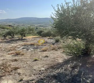 Επαγγελ. Οικόπεδο 7000τ.μ. προς πώληση φωτογραφία 15