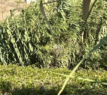 Αγροτεμάχιο 1000τ.μ. προς πώληση φωτογραφία 4389762