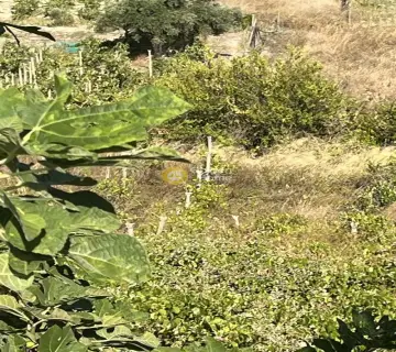 Αγροτεμάχιο 1000τ.μ. προς πώληση φωτογραφία 4389772