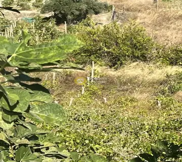 Αγροτεμάχιο 1000τ.μ. προς πώληση φωτογραφία 4389773