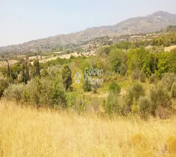 住宅 480m<sup>2</sup> for sale photo 1
