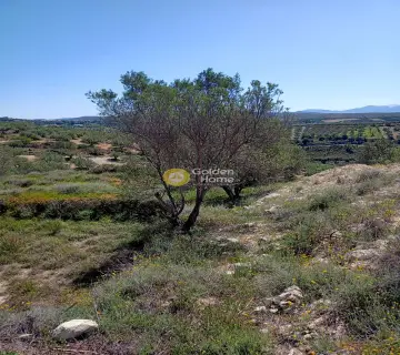 Residential 12500m<sup>2</sup> for sale photo 1