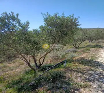 Residential 12500m<sup>2</sup> for sale photo 2