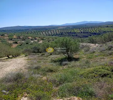 Residential 12500m<sup>2</sup> for sale photo 3
