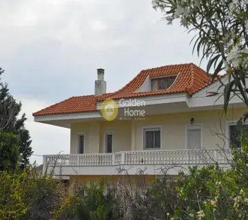 House 350m<sup>2</sup> for sale photo 3