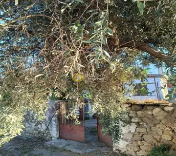 House 80m<sup>2</sup> for sale photo 14