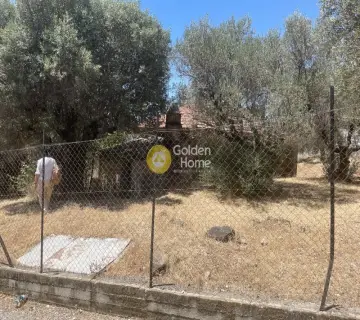 Residential 1923m<sup>2</sup> for sale photo 2