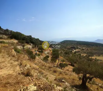 Parcel 5835m<sup>2</sup> for sale photo 2