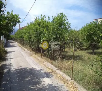 Residential 729m<sup>2</sup> for sale photo 4396602