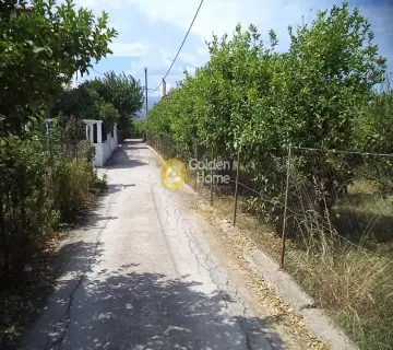 Golden Home Property Image