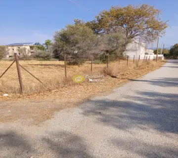 Residential 4000m<sup>2</sup> for sale photo 4397756