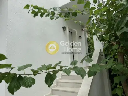 Μεζονέτα Ανεξάρτητη 303τ.μ. προς πώληση φωτογραφία 43