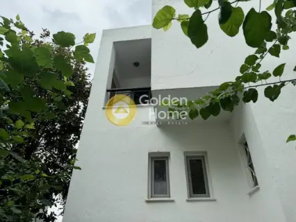 Μεζονέτα Ανεξάρτητη 303τ.μ. προς πώληση φωτογραφία 46