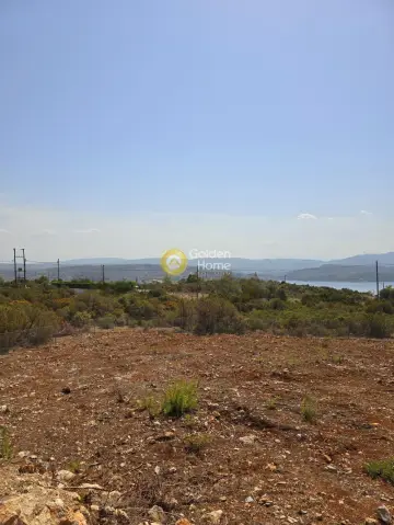 住宅 1066m<sup>2</sup> for sale photo 5