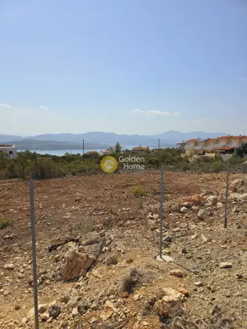 住宅 1066m<sup>2</sup> for sale photo 10