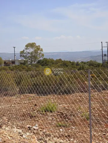 住宅 1066m<sup>2</sup> for sale photo 17