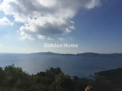 Αγροτεμάχιο 11318τ.μ. προς πώληση φωτογραφία 3