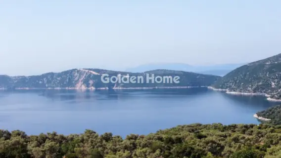 Αγροτεμάχιο 11318τ.μ. προς πώληση φωτογραφία 2