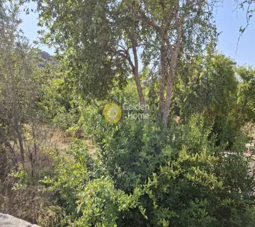 Οικιστικό 1006τ.μ. προς πώληση φωτογραφία 1