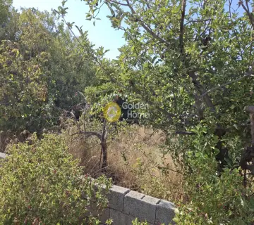 Οικιστικό 1006τ.μ. προς πώληση φωτογραφία 2