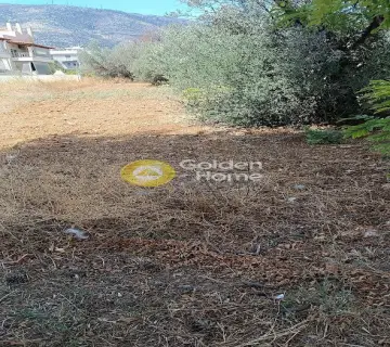 Οικιστικό 1037τ.μ. προς πώληση φωτογραφία 4406620