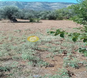 Οικιστικό 1037τ.μ. προς πώληση φωτογραφία 4406615