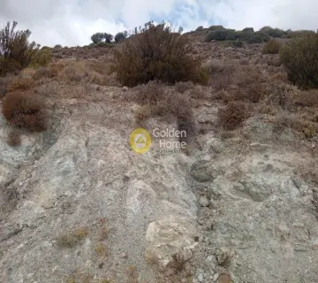 Parcel 1500m<sup>2</sup> for sale photo 4