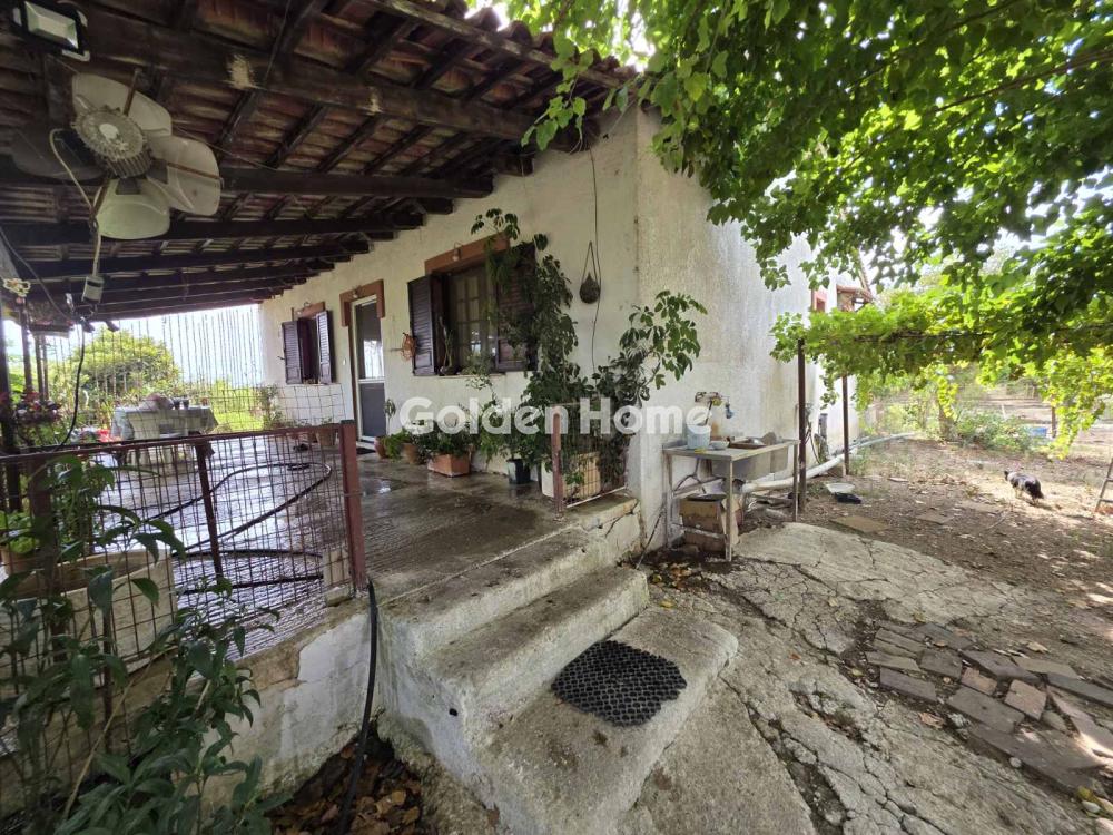 Μονοκατοικία στην Παλαιοχώρι, Γαστούνη — Φωτογραφία 8 από 8