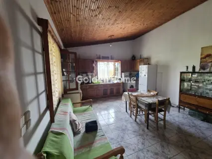 Αγροτεμάχιο 6000τ.μ. προς πώληση φωτογραφία 7