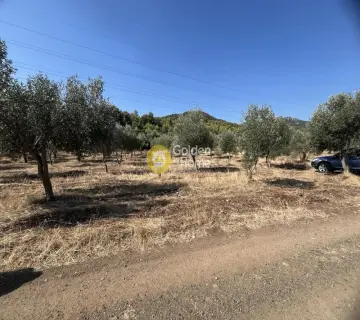 Parcel 5000m<sup>2</sup> for sale photo 4415498