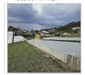 Area 43000m<sup>2</sup> for sale photo 4765242