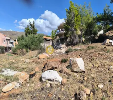 Οικιστικό 491τ.μ. προς πώληση φωτογραφία 3