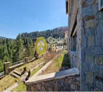 Hotel 3219m<sup>2</sup> for sale photo 4423174