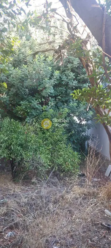 Μονοκατοικία 70τ.μ. προς πώληση φωτογραφία 1
