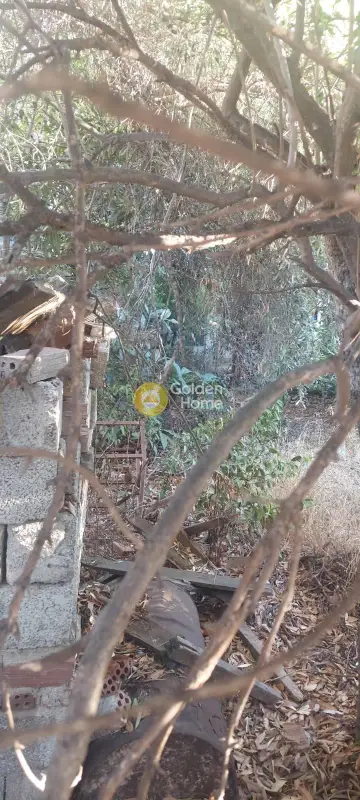 Μονοκατοικία 70τ.μ. προς πώληση φωτογραφία 2