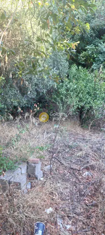 Μονοκατοικία 70τ.μ. προς πώληση φωτογραφία 3