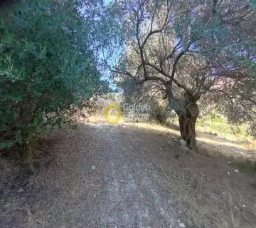Residential 12000m<sup>2</sup> for rent photo 4434384