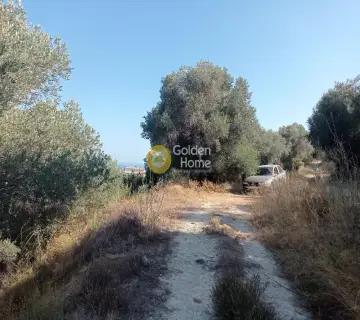Residential 12000m<sup>2</sup> for rent photo 4434386