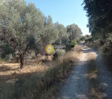 Residential 12000m<sup>2</sup> for rent photo 4434387