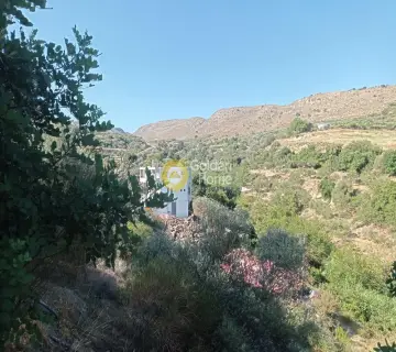 Residential 12000m<sup>2</sup> for rent photo 4434391