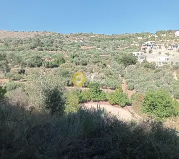 Residential 12000m<sup>2</sup> for rent photo 4434392